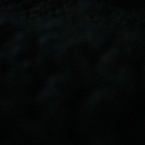 Meet your Posher, Jen